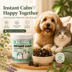 Everyday Calm Chews