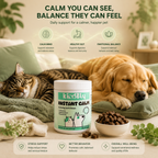 Everyday Calm Chews