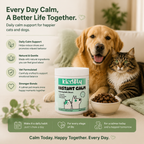 Everyday Calm Chews