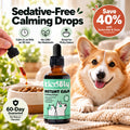 Kindoly Sedative-Free Calming Drops for Dogs & Cats – Salmon Flavor, 50 mL