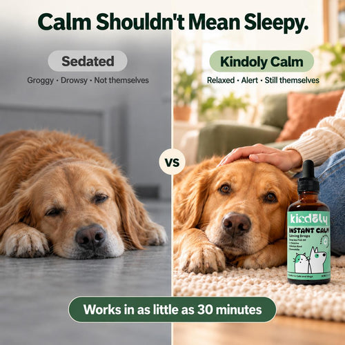 Kindoly Sedative-Free Calming Drops for Dogs & Cats – Salmon Flavor, 50 mL