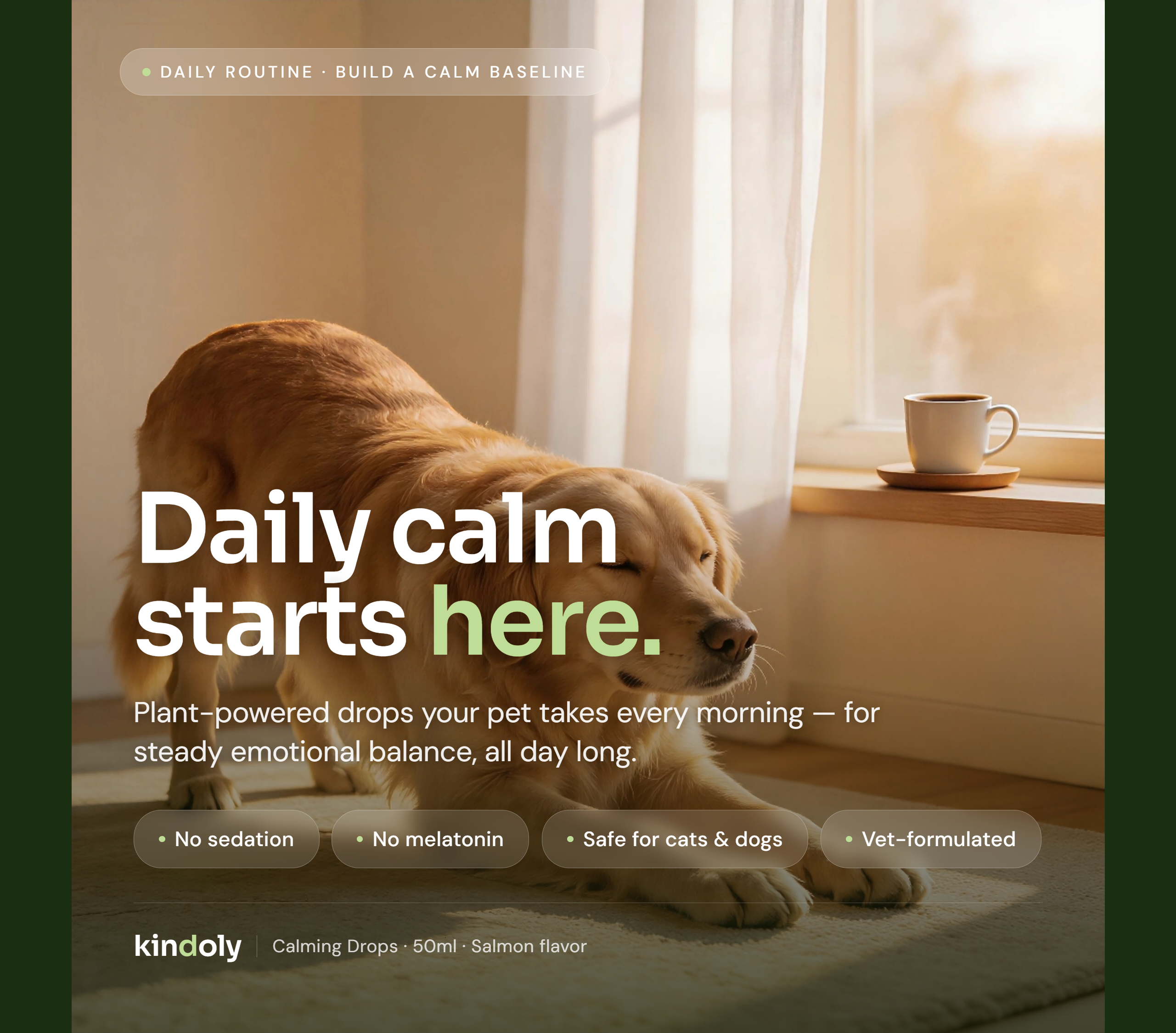 Daily + Instant Calming Drops for Dogs & Cats — 40-Min Fast Acting, No Melatonin, Salmon Flavor, 50ml