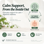 Everyday Calm Chews