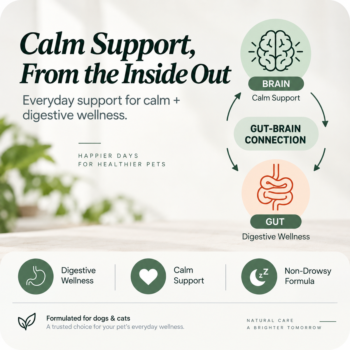 Everyday Calm Chews