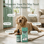 Everyday Calm Drops