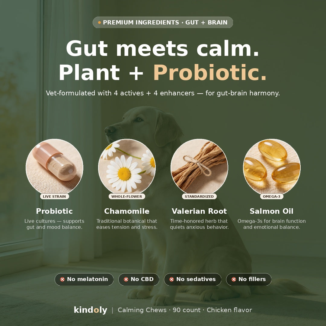 Calming Soft Chews for Dogs & Cats — Daily Probiotic + Gut-Brain Calm, Chicken Flavor, Heart-Shaped, 90 Count